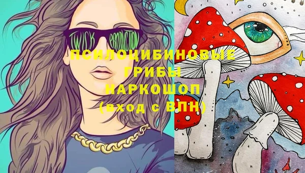 прущие крисы Алексеевка